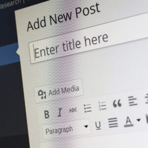 wordpress-265132_1920-300×300 603